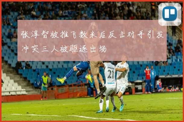 张淳智被推飞数米后反击对手引发冲突三人被驱逐出场