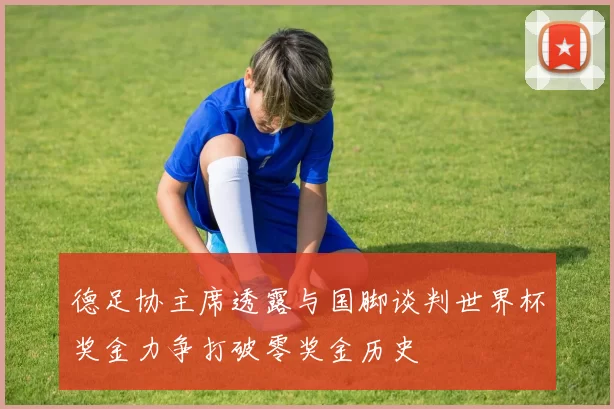 德足协主席透露与国脚谈判世界杯奖金力争打破零奖金历史